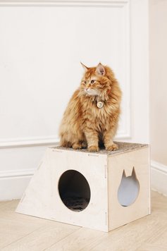 Будиночок для кота з кігтеточкою, 45х30х30см 048Д фото